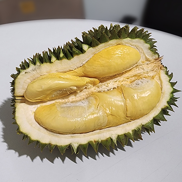 Hor Lor Durian