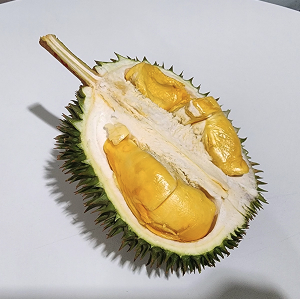 IOI durian