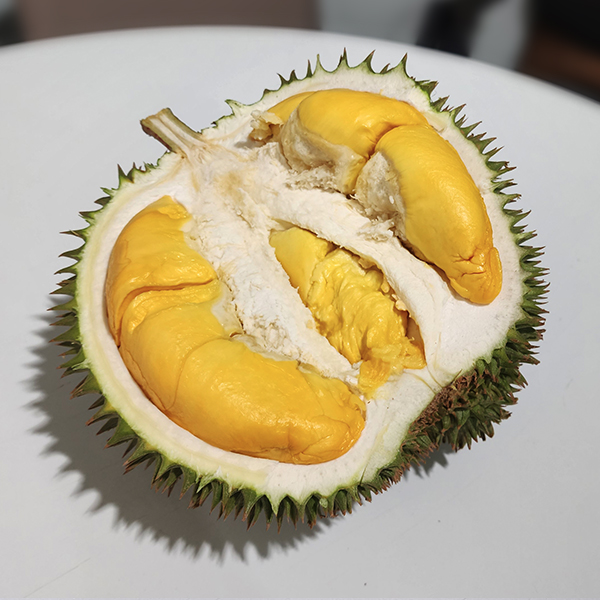 Mas Hijau Durian