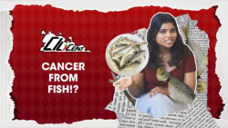 [CiliCepat] Cancer from fish!?