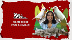 [CiliCepat] These Animals Need Names