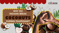 [INFOGRAPHIC] Why do Indians break coconuts during Thaipusam?