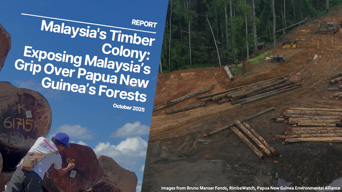Here’s how Malaysian companies are destroying rainforests abroad