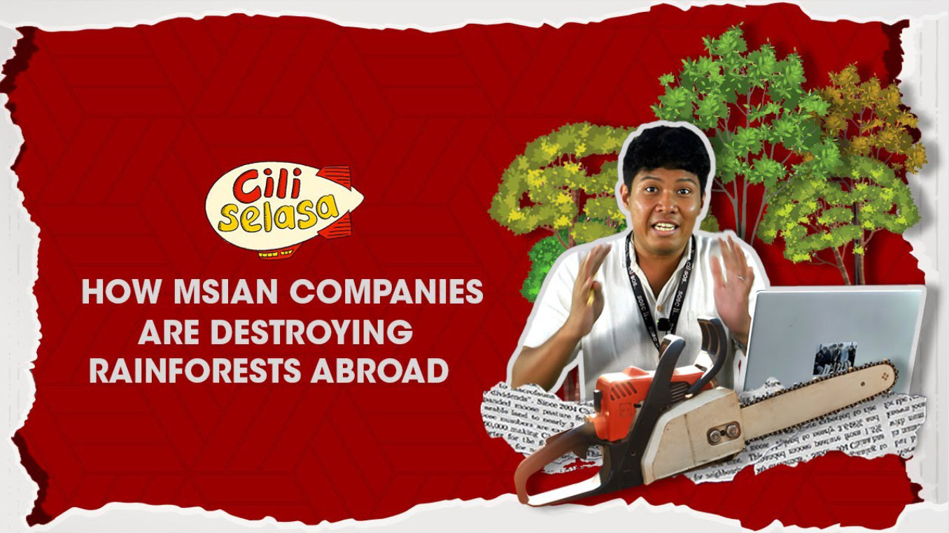 [CILISELASA] EP 4 | How Msian Companies Are Destroying Rainforests Abroad